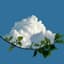 sanqing_web3